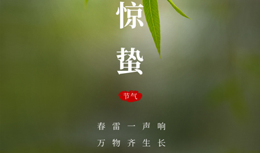 ibet·(集团)有限公司官网